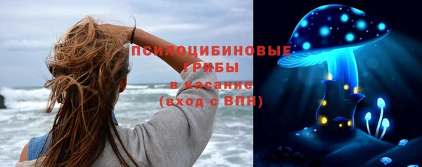 дмт Лабытнанги