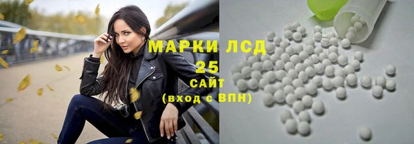 ПСИЛОЦИБИНОВЫЕ ГРИБЫ Краснослободск