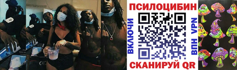 Псилоцибиновые грибы GOLDEN TEACHER  Лебедянь 